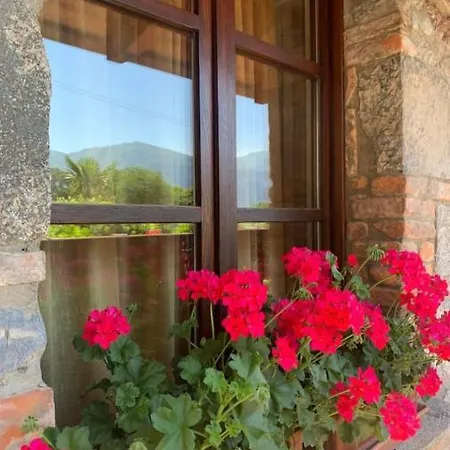 Splendido Lakeview
